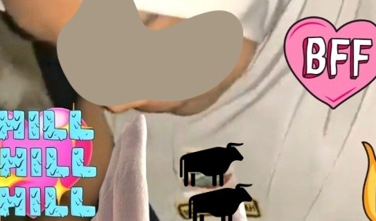 Akhirnya Terungkap! Fakta Sebenarnya di Balik Video Viral '1 vs 7 Kendari' yang Heboh di Medsos