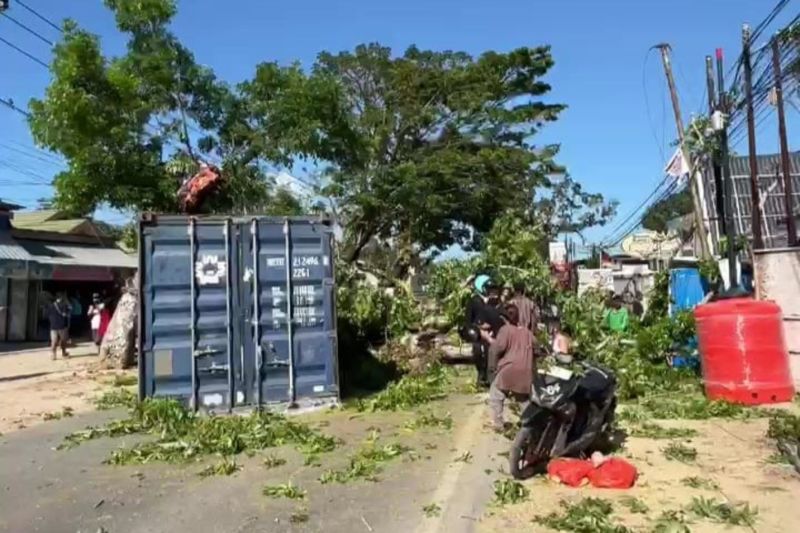 Kecelakaan Maut, Truk Kontainer Tabrak Pohon di Kendari, Pemotor Wanita Tewas, Sopir Kabur