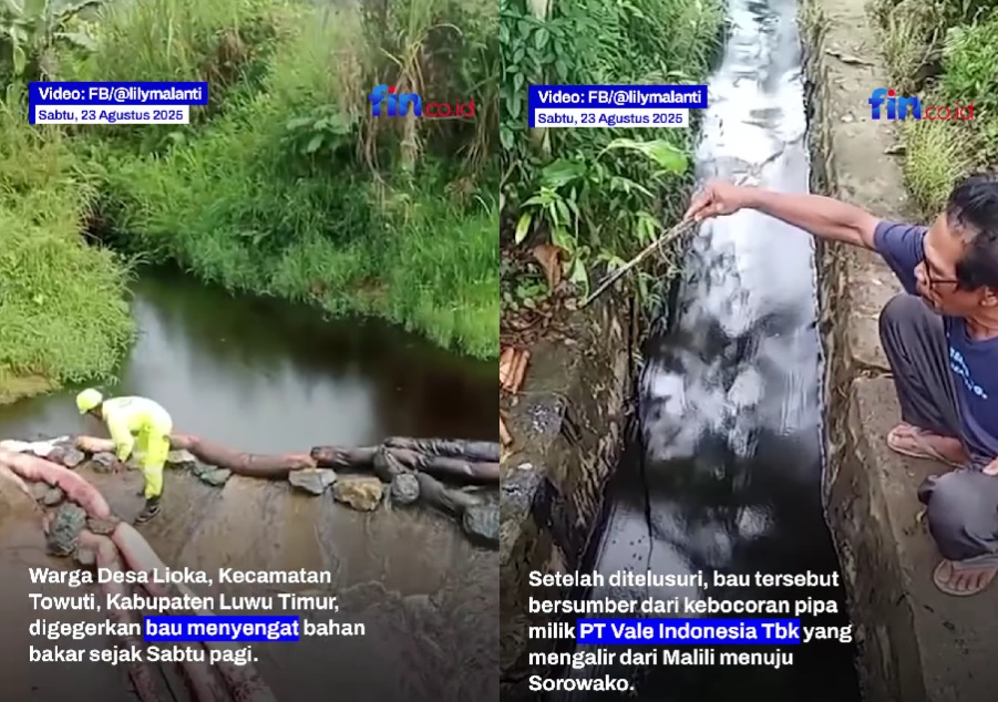 Kebocoran Pipa Minyak PT Vale di Luwu Timur, Irigasi dan Sawah Warga Tercemar
