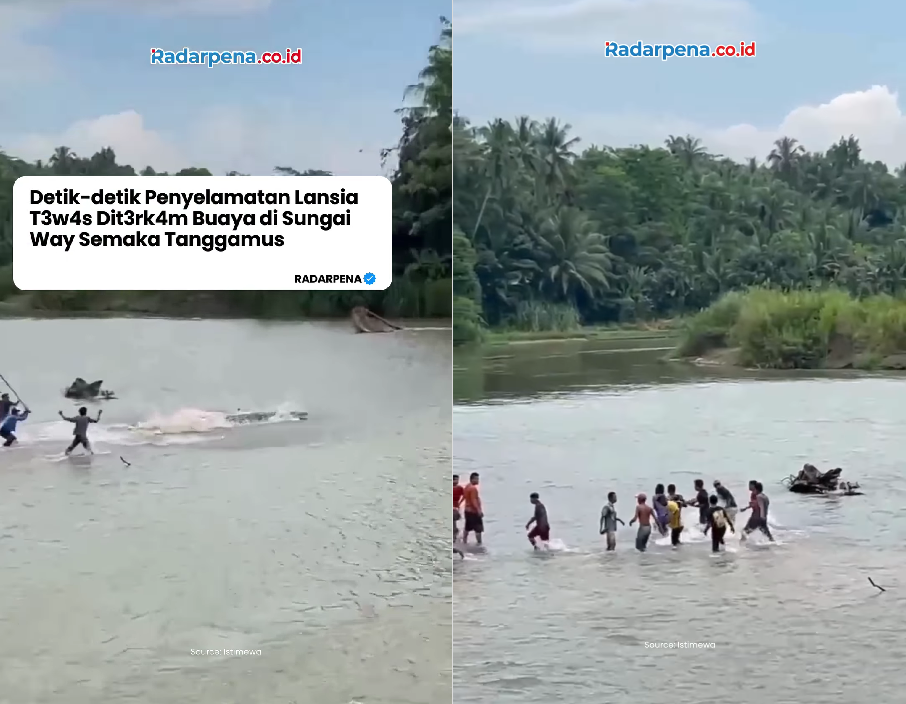 Viral! Video Detik-detik Aksi Warga Selamatkan Jasad Kakek Wasim yang Diterkam Buaya 