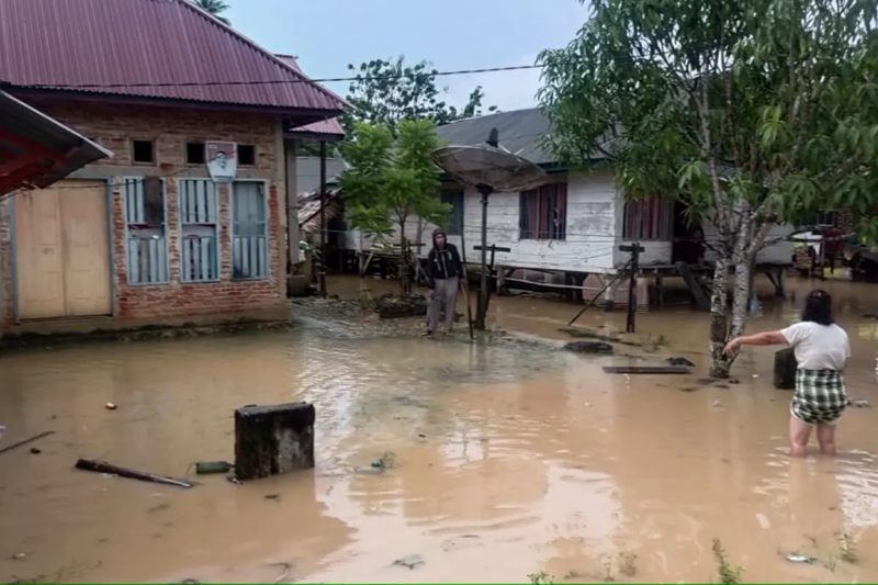 Banjir Parah Rendam Buton Utara, Rantegola Terendam hingga 2 Meter