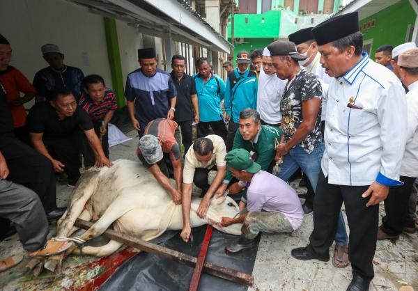 Panduan Lengkap Tata Cara dan Rukun Penyembelihan Hewan Kurban Sesuai Syariat Islam