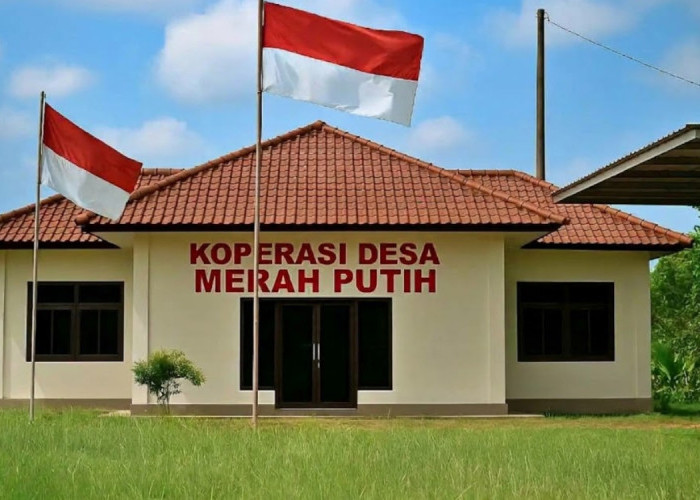Lewat 327 Ribu Transaksi, Koperasi Merah Putih di Sulawesi Tenggara Gerakkan Ekonomi Desa