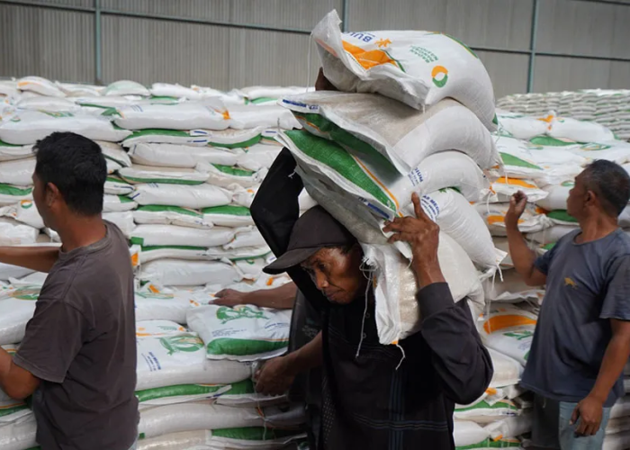 Pemprov Sultra Tambah Cadangan Pangan Rp1 Miliar Hadapi Situasi Darurat