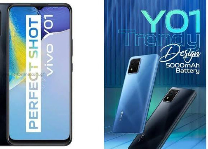 Vivo Y01, Hp 1 Jutaan dengan Baterai Tahanw Seharian dan Desain Stylish