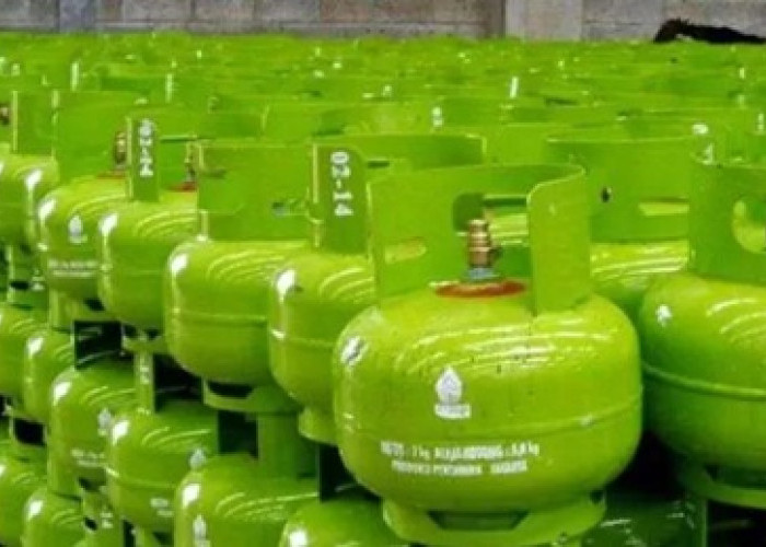 Polda Sultra Gagalkan Penyelundupan 246 Tabung LPG 3 Kg Ilegal ke Morowali