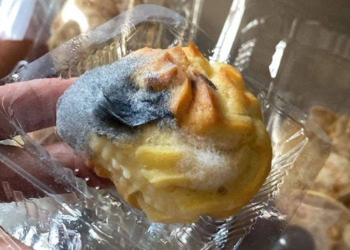Snack MBG di Konawe Disorot: Kue Sus Berjamur Picu Kekhawatiran Orang Tua