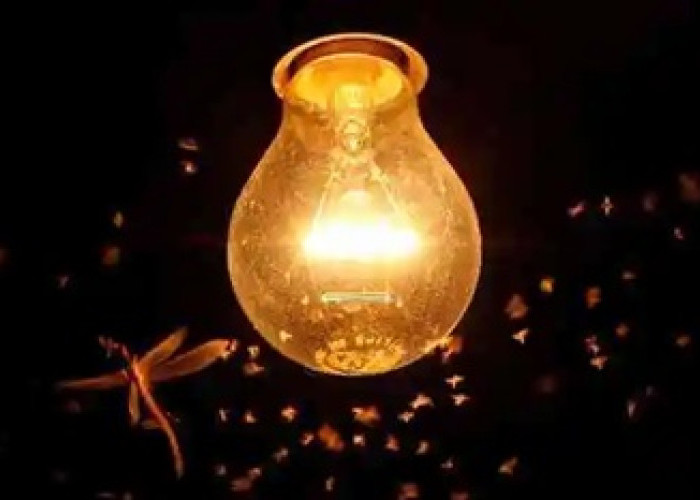 Kementerian ESDM Survei 3 Desa di Muna untuk Proyek Listrik Tenaga Surya