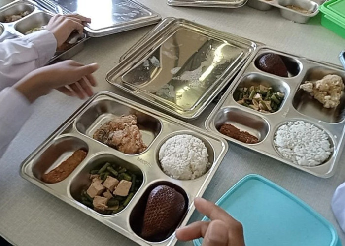 Viral! Ompreng Program Makan Bergizi Gratis Disebut Pakai Minyak Babi, Ini Klarifikasi Istana
