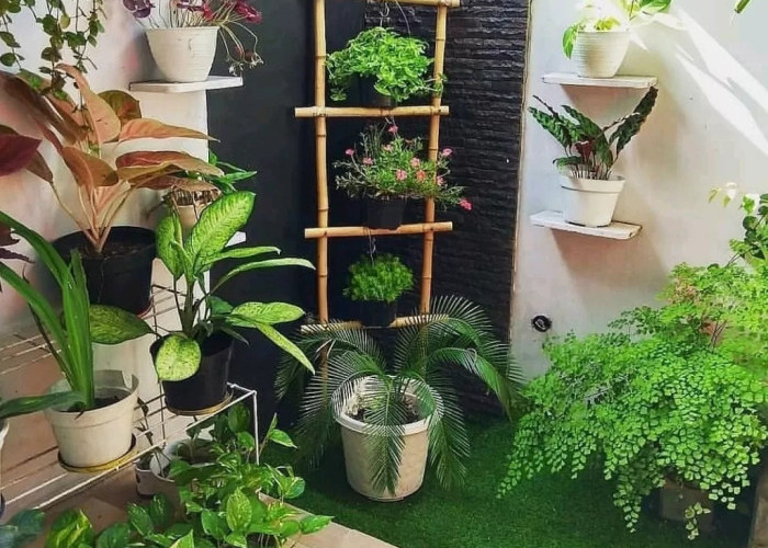 5 Ide Desain Taman Rumah Minimalis: Simpel Tapi Bikin Betah!