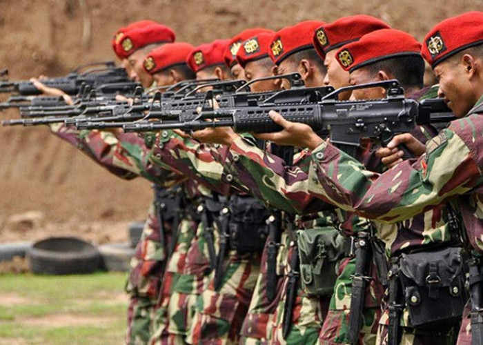 Pemprov Sultra Siapkan 200 Hektare Lahan untuk Markas Baru Kopassus, Ini Tujuannya