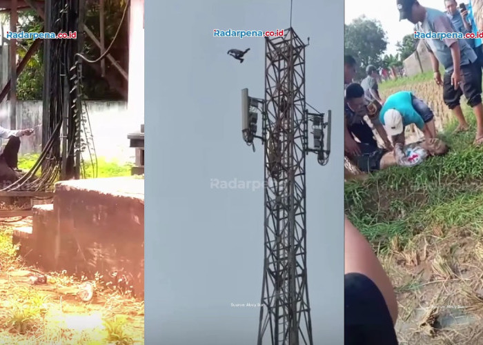Detik-Detik Peristiwa Tragis Terekam Kamera! Pria di Cianjur Lompat dari Tower 