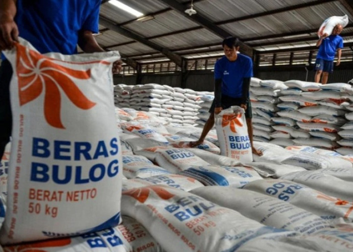 Warga Tak Perlu Panic Buying, Cadangan Beras Bulog Dipastikan Aman