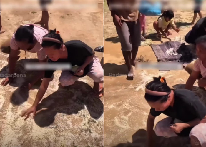 Viral! Video Miris Korban Bencana Punguti Beras Bercampur Tanah di Tapanuli Utara