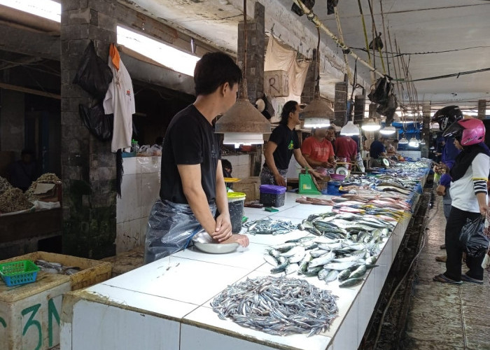 Langkah Pemkot Kendari Tekan Inflasi: Gencarkan Gemar Makan Ikan dan Gelar Pasar Murah Ikan
