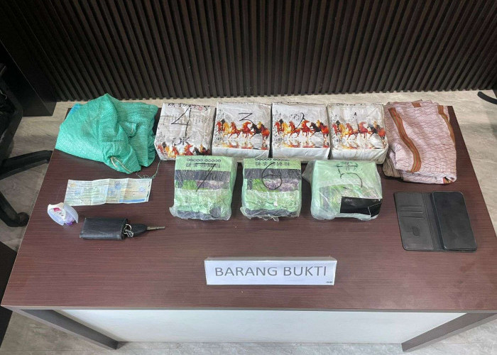 Bawa 7,4 Kg Sabu ke Kota Kendari, Warga Kolaka Diamankan di Mobil Terrios