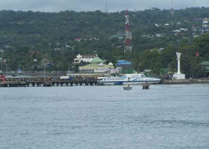 Sejarah Baru Ekspor Sultra: Pelabuhan Baubau Resmi Layani Pengiriman Langsung ke Pasar Global