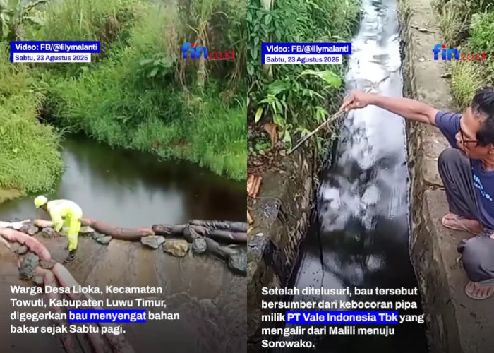 Kebocoran Pipa Minyak PT Vale di Luwu Timur, Irigasi dan Sawah Warga Tercemar