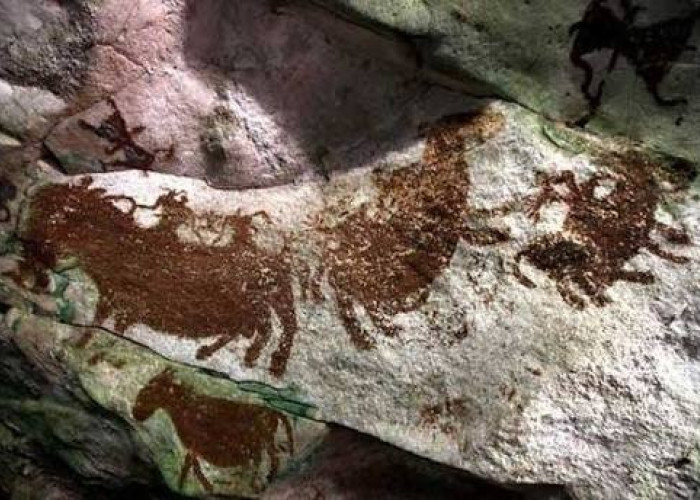 Keren! Lukisan Purba Liang Metanduno Berusia 67 Ribu Tahun Bakal Jadi Ikon Baru Museum Sulawesi Tenggara