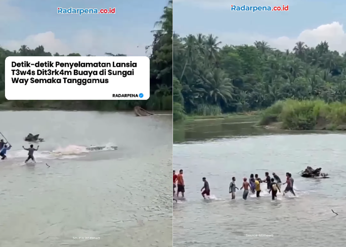 Viral! Video Detik-detik Aksi Warga Selamatkan Jasad Kakek Wasim yang Diterkam Buaya 