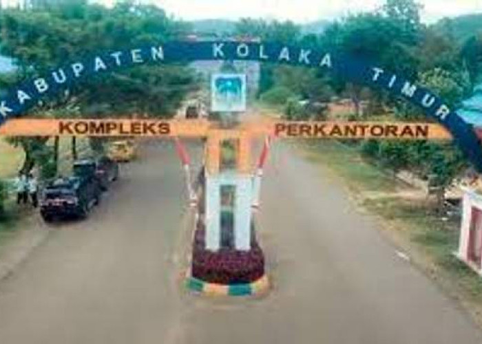 Pemerintah Salurkan Dana Desa 2025 ke Kolaka Timur, Capai Rp89,6 Miliar