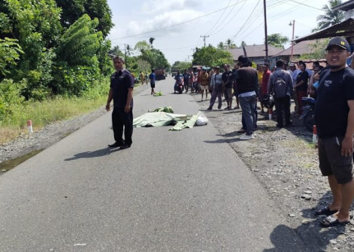 Kecelakaan Maut di Jalan Rusak Konawe, Ketua Bawaslu Kolaka Timur Tewas