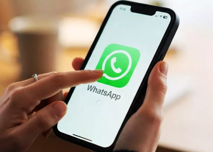 Bebas Ribet! WhatsApp Bakal Hadirkan Tab Khusus Kontak dan Indikator Online