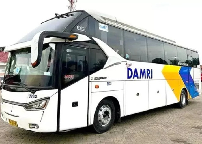 DAMRI Sultra Siapkan 25 Bus untuk Mudik Lebaran 2026, Rute Favorit Kendari–Baubau Jadi Prioritas
