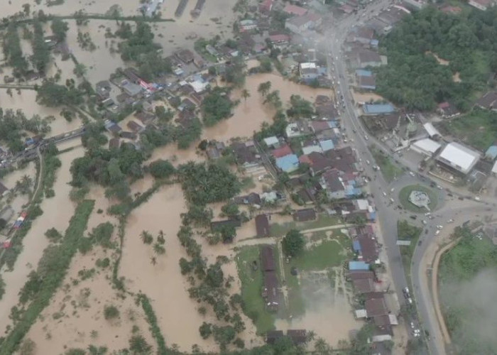 Banjir Sulawesi Tenggara: 8.616 Warga Terdampak, Ribuan Rumah Terendam di 8 Daerah