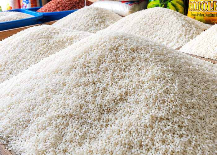 Pemkot Kendari Siapkan 2 Ton Beras SPHP, Harga Lebih Murah dari HET