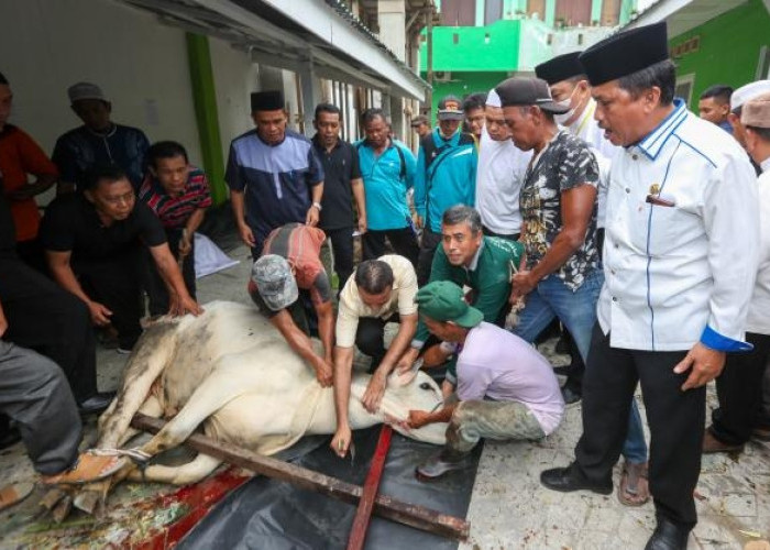 Panduan Lengkap Tata Cara dan Rukun Penyembelihan Hewan Kurban Sesuai Syariat Islam