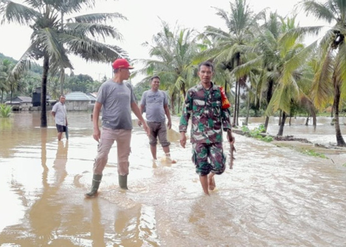 Cegah Banjir Berulang, Pemkot Baubau Percepat Normalisasi Saluran Irigasi