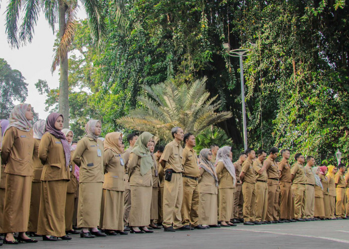 Hore! ASN Sultra Kini Bisa Kerja dari Rumah, Ini Aturan Terbarunya