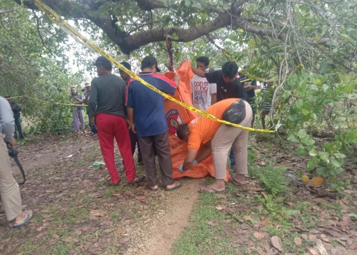 Tragis! Lansia di Muna Ditemukan Tewas Tergantung di Pohon Jambu Mete