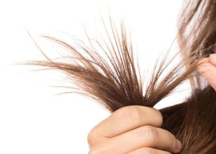 Jangan Anggap Remeh! Inilah Biang Keladi Rambut Bercabang yang Jarang Disadari