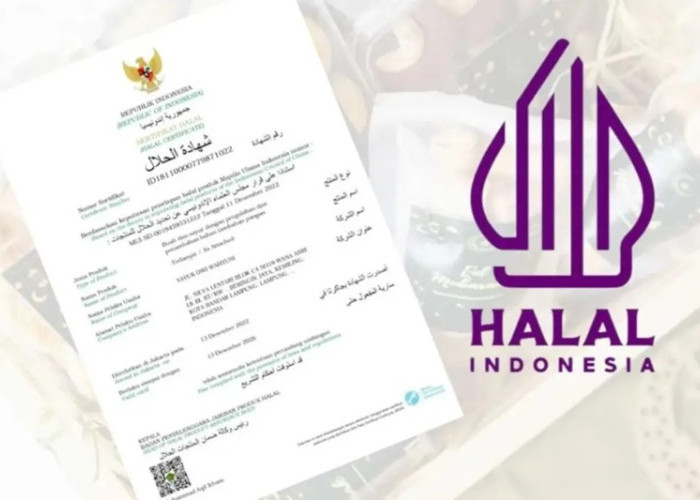 Kesempatan Emas UMKM! BPJPH Sediakan 1 Juta Kuota Sertifikasi Halal Gratis, Cek Cara Daftarnya di Sini