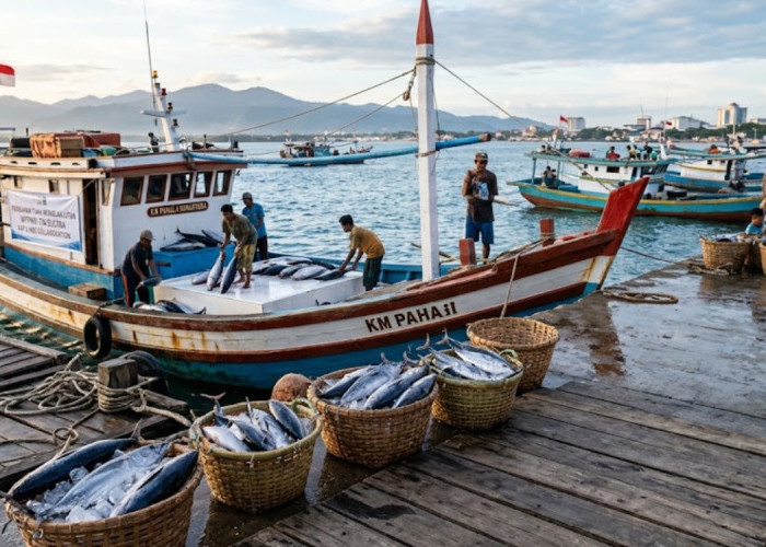 Dorong Ekspor Berkelanjutan, KKP dan MSC Dandan Tata Kelola Tuna di Sulawesi Tenggara