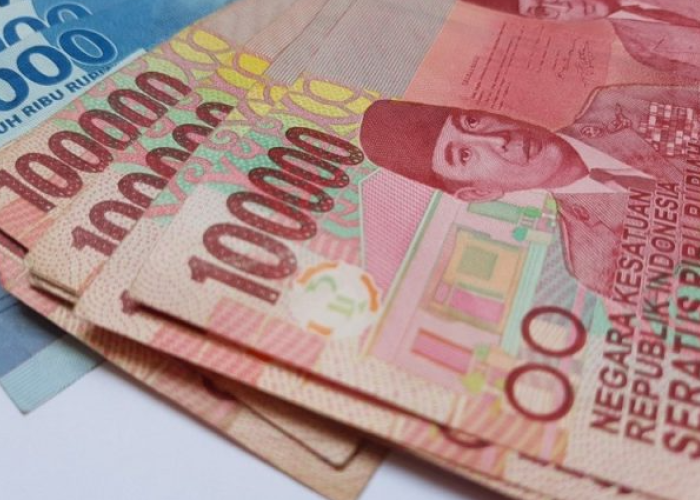 Syarat Bagi Pekerja di Sultra yang Mendapatkan Bantuan Subsidi Upah 2025 Rp600 Ribu  