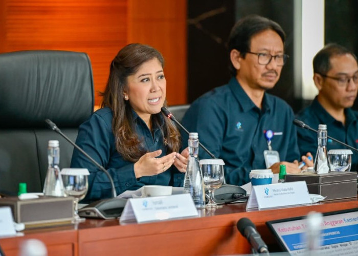 Meutya Hafid Kecam Keras Penahanan Jurnalis Indonesia dalam Misi Kemanusiaan Gaza