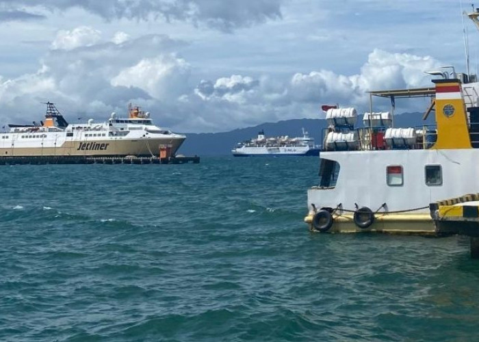 Bantu Korban Gempa NTT, PELNI Buka Akses Pengiriman Logistik Tanpa Biaya