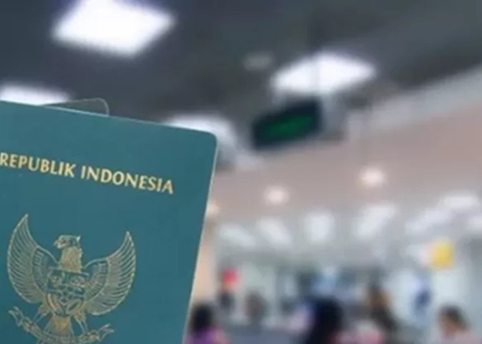 Genjot Transformasi Digital, Imigrasi Kendari Pantau Aktivitas WNA Lewat APOA secara Real Time