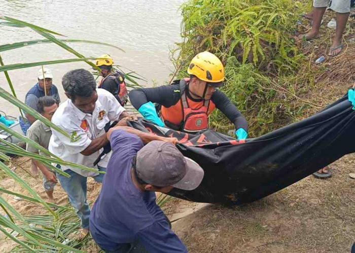 Tragis! Sedang Mancing Remaja 17 Tahun Tewas Diterkam Buaya di Muna, Sulawesi Tenggara