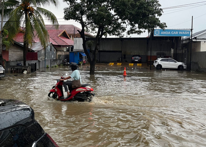 Banjir Kali Wanggu Rendam Kendari, 317 Warga Mengungsi dan Ratusan Rumah Terdampak