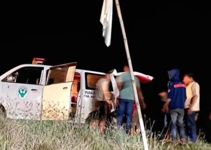 Suami di Bombana Kaget Lihat Istri Tewas Bersimbah Darah di Kandang Sapi 