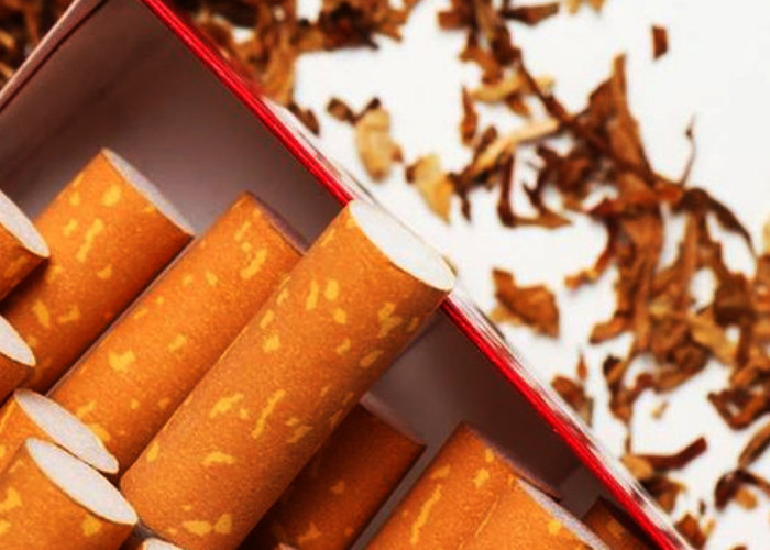 Sinergi Aparat Diperkuat! Bea Cukai Kendari Sita 3,9 Juta Batang Rokok Ilegal di Sultra