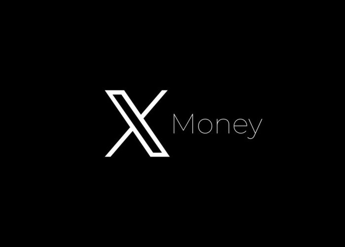 X Money Resmi Meluncur, Pengguna Medsos X Kini Bisa Transfer Uang hingga Bayar Pakai Kartu Visa