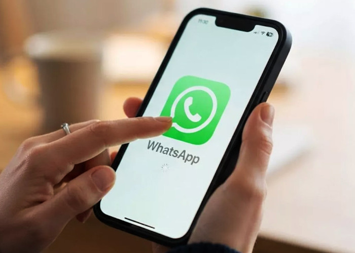 WhatsApp Uji Coba Fitur Tema Obrolan Android: Bikin Tampilan Chat Makin Personalis dan Estetik