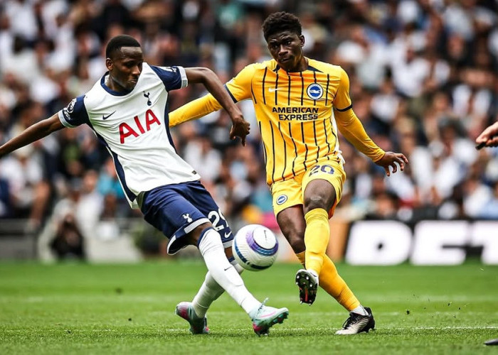 Carlos Baleba Jadi Rebutan, Brighton Siap Pasang Harga Fantastis