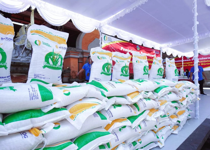 Pusat Kirim Bantuan Rp10 Miliar untuk Korban Banjir Sultra
