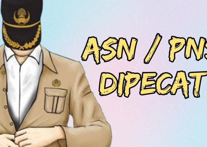 Tegas! 17 ASN Konawe Utara Dipecat, Ini Kasusnya